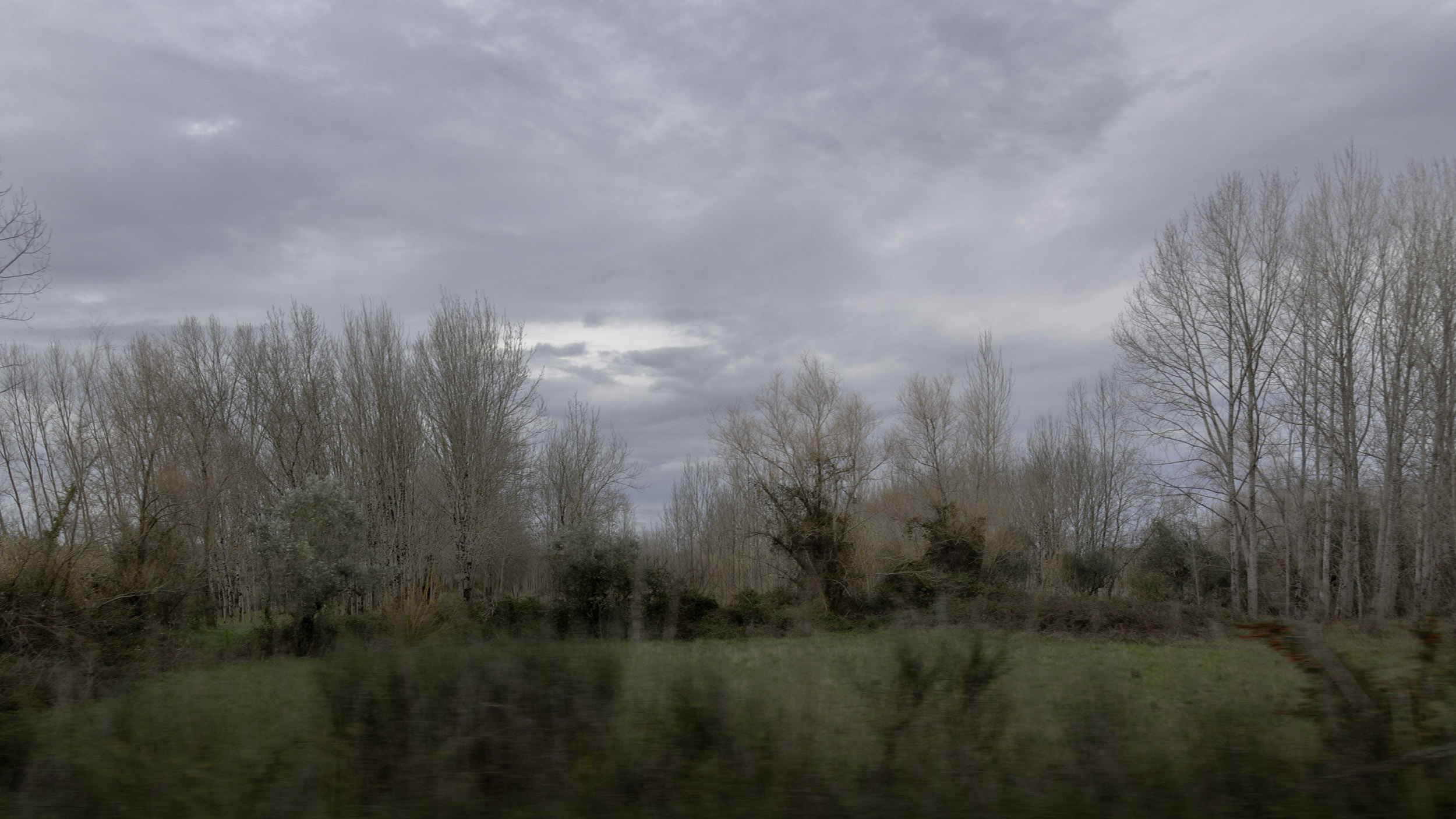 Paisagem em Movimento 2