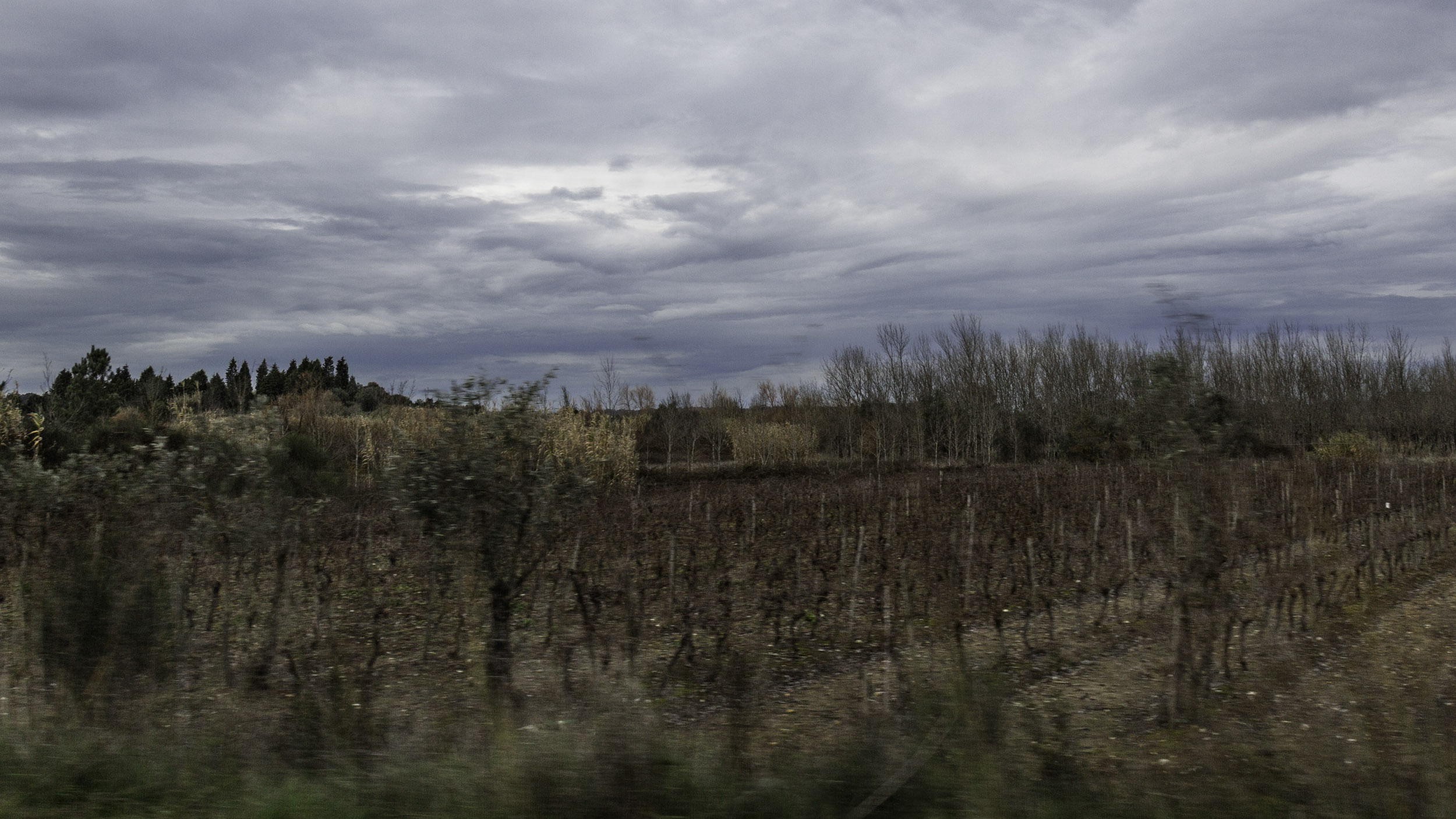 Paisagem em Movimento 3
