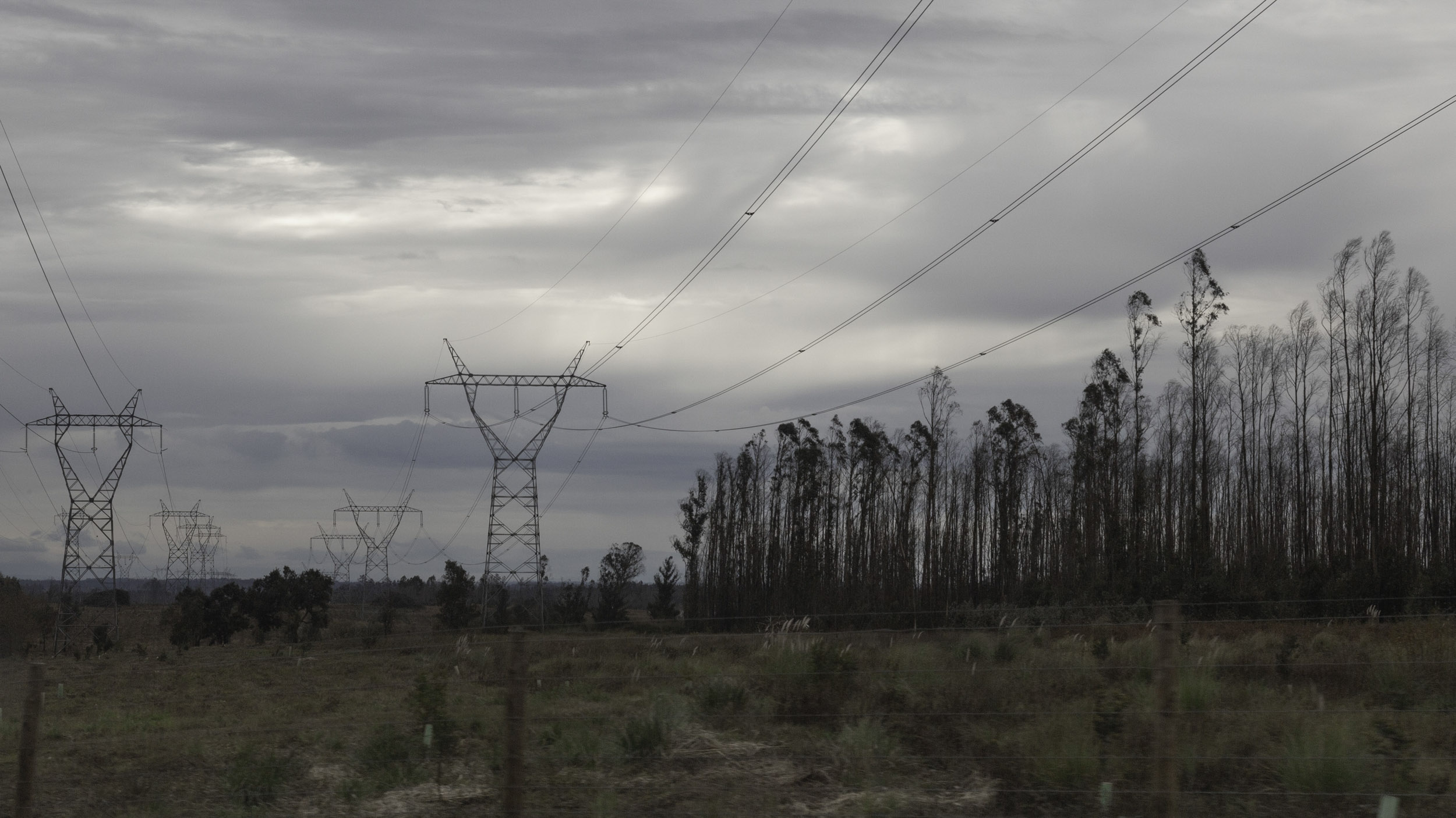 Paisagem em Movimento 4