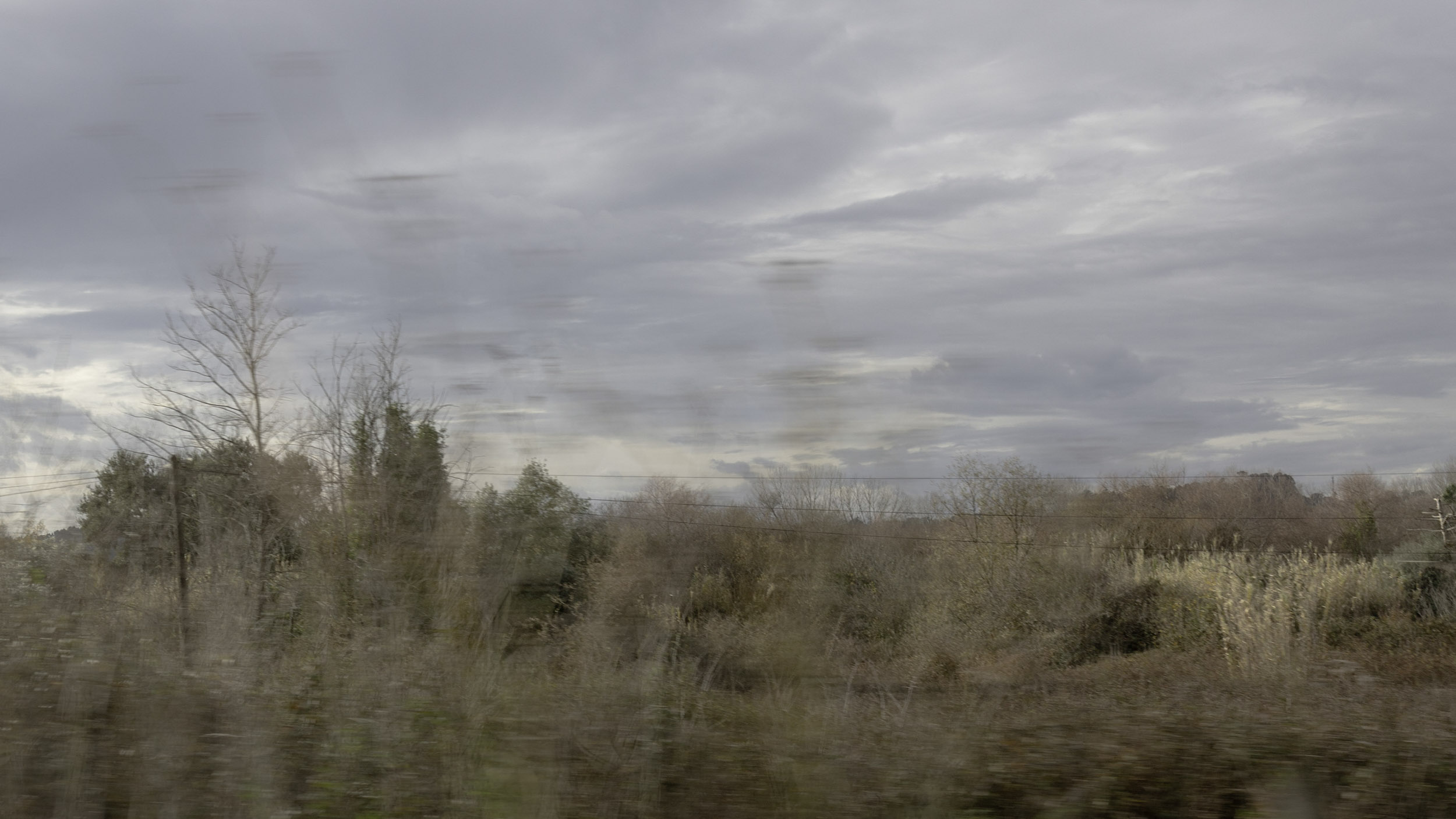 Paisagem em Movimento 5